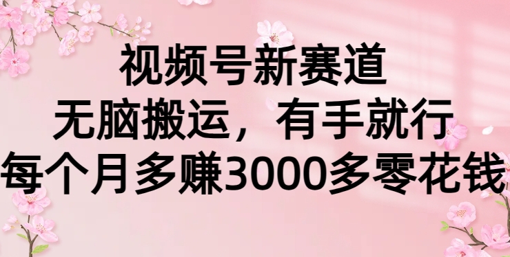 视频号新赛道，无脑搬运，有手就行，每个月多赚3000多零花钱-课程网