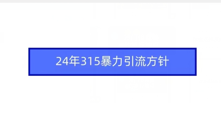 24年315暴力引流方针-课程网