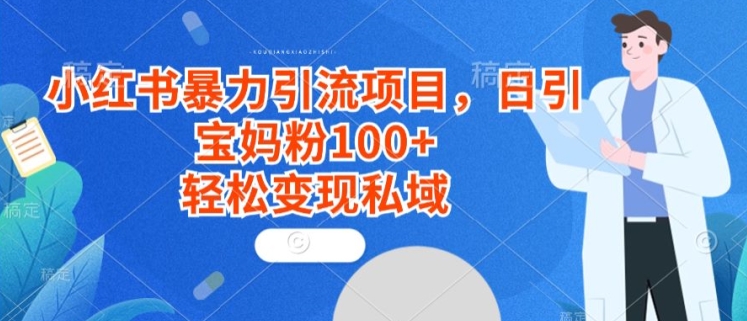 小红书暴力引流项目，日引宝妈粉100+，轻松变现私域-课程网