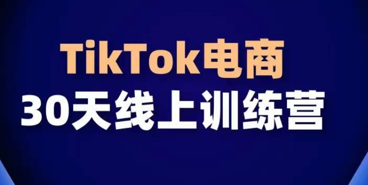 TikTok电商带货30天线上课，不可错过的全球流量洼地！-课程网