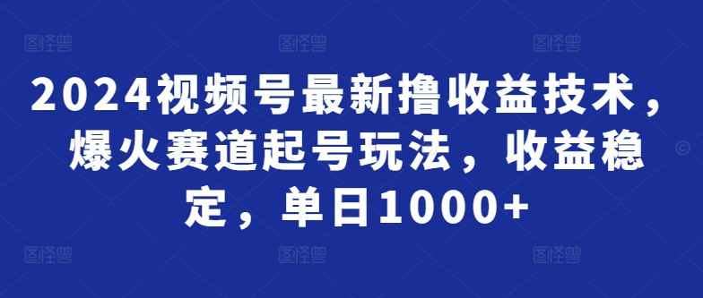 2024视频号最新撸收益技术，爆火赛道起号玩法，收益稳定，单日1000+-课程网