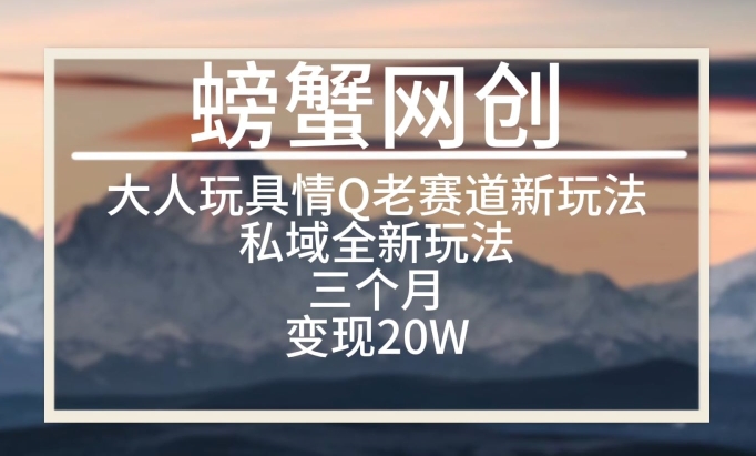 大人玩具情Q用品赛道私域全新玩法，三个月变现20W，老项目新思路【揭秘】-课程网