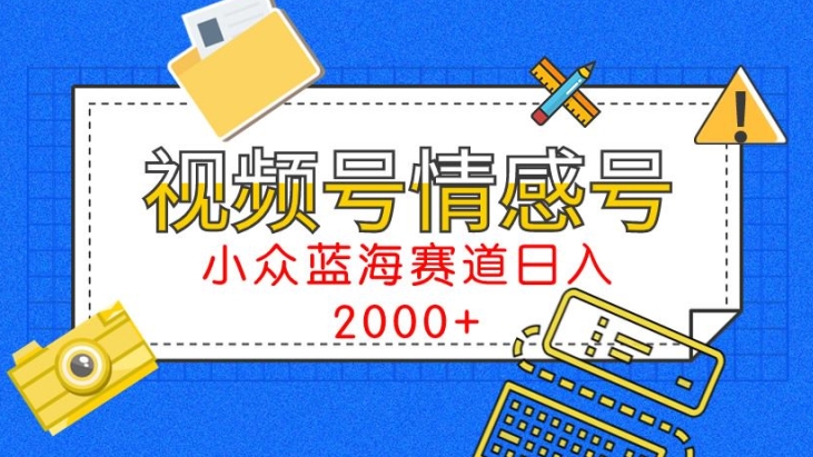 视频号情感号小众蓝海赛道，每天一小时，日入3000+-课程网