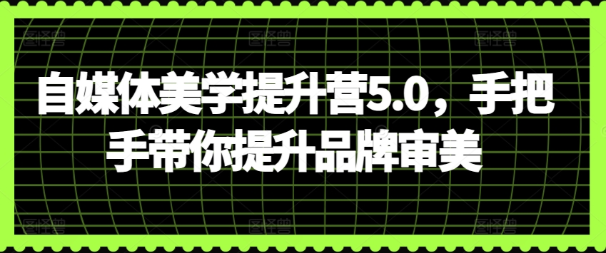 自媒体美学提升营5.0，手把手带你提升品牌审美-课程网