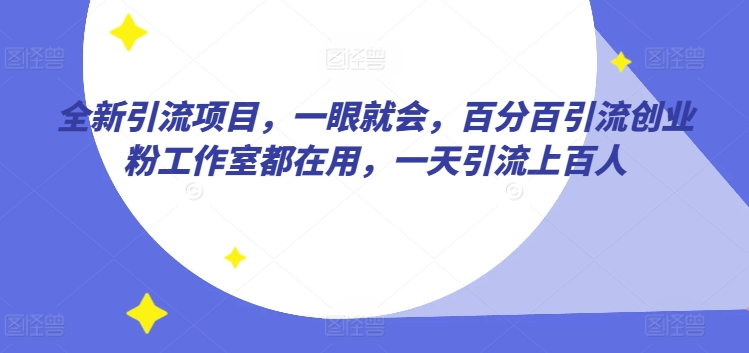 全新引流项目，一眼就会，百分百引流创业粉工作室都在用，一天引流上百人-课程网