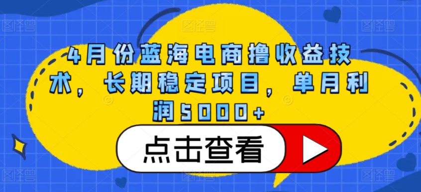 4月份蓝海电商撸收益技术，长期稳定项目，单月利润5000+【揭秘】-课程网