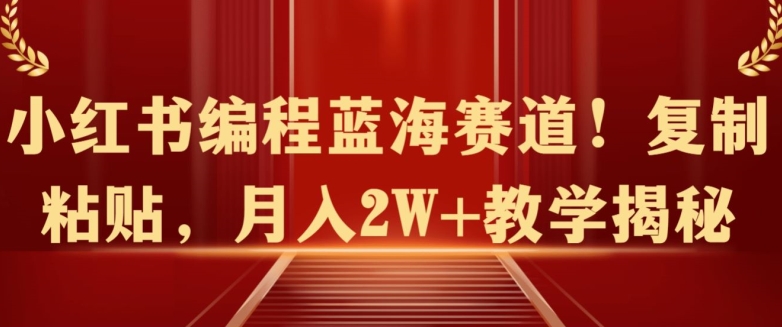 小红书编程蓝海赛道!复制粘贴，月入2W+教学揭秘-课程网