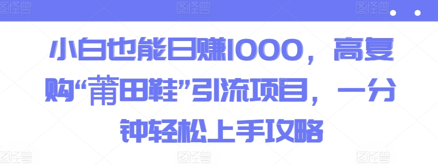 小白也能日赚1000，高复购“莆田鞋”引流项目，一分钟轻松上手攻略-课程网