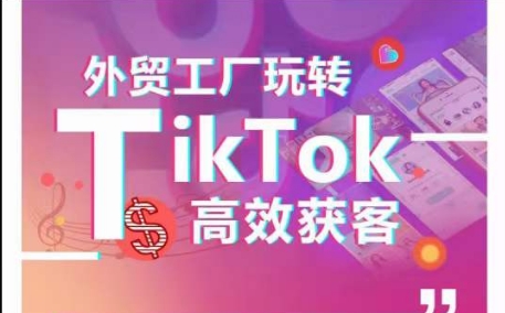 外贸工厂轻松玩TikTok高效率拓客，多种多样推广方式与内容创作方法，拆卸爆款短视频打造成功实例-课程网