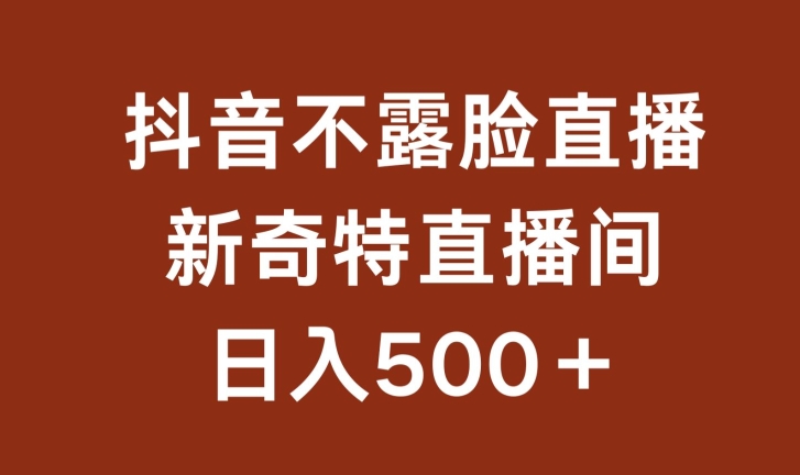 不露脸挂机直播，新奇特直播间，日入500+【揭秘】-课程网