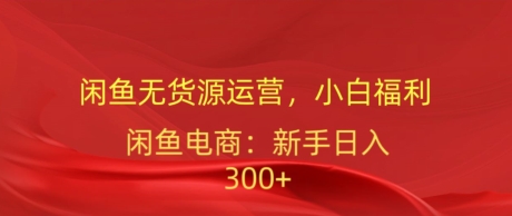 闲鱼平台无货源电商经营，新手褔利，日入300加-课程网