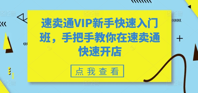 全球速卖通VIP初学者快速上手班，教你如何在全球速卖通迅速开实体店-课程网