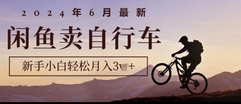 2024年6月全新淘宝闲鱼单车，新手入门轻轻松松月收入1w ，零风险新项目-课程网