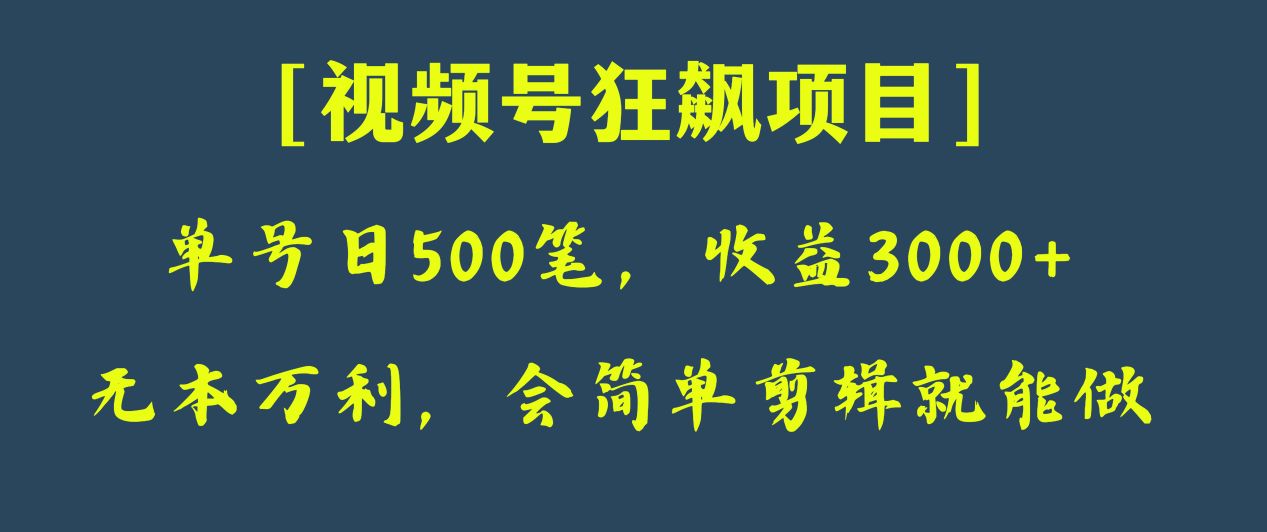 日收付款500笔，净利润3000 ，微信视频号狂飚新项目！-暖阳网-优质付费教程和创业项目大全-课程网