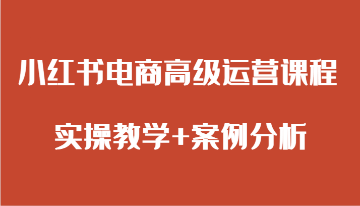 小红书电商高端营销课程 实际操作课堂教学 经典案例-课程网