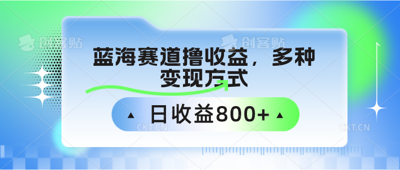 中老年人健身操瀚海跑道撸盈利，多种多样变现模式，日盈利800-课程网