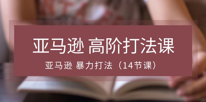 亚马逊高阶打法课，亚马逊暴力打法-课程网