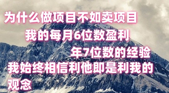 做项目不如卖项目，每月6位数盈利，年7位数经验-课程网