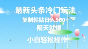 最新头条冷门玩法，隔天就爆，复制粘贴日入500+-课程网