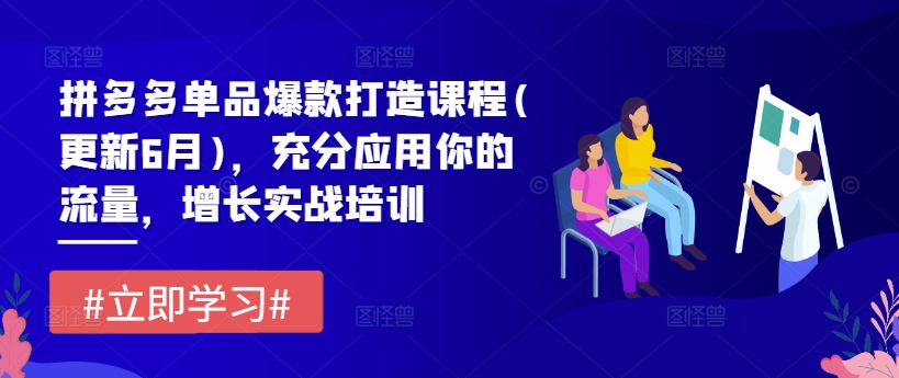 拼多多平台品类爆款打造课程内容(升级6月)，充分应用你的流量，提高实战培训-课程网