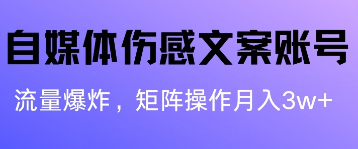 自媒体平台伤感文案账户，制作简单，总流量发生爆炸账户非常容易拷贝，引流矩阵月入1W-课程网