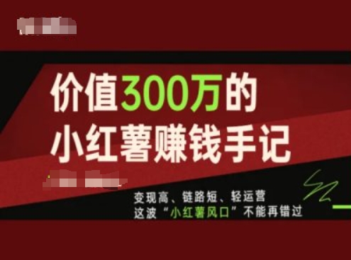 使用价值300万的小红书挣钱笔记，转现高、链接短、轻运营，这一波“小红书出风口”无法再错过了-课程网