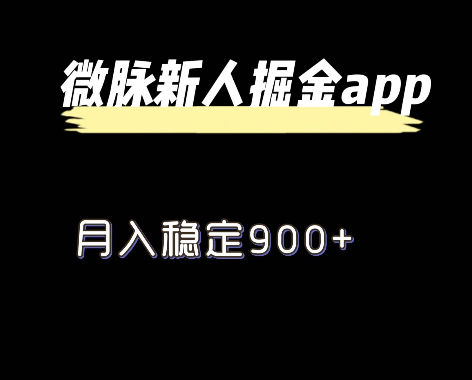 全新微脉长期新项目，引流掘金队，月入平稳900-课程网