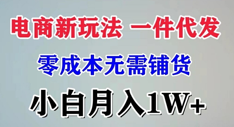 电子商务新模式 一件代发,零成本不用进货，新手月入1W-课程网