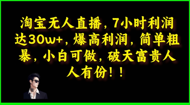 淘宝网无人直播，绝对高盈利，简单直接，小白可做-课程网