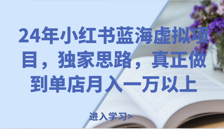 24年小红书的瀚海虚拟资源项目，独家代理构思，充分体现门店月入一万之上。-课程网