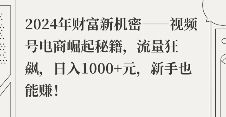 2024年财富新机密——视频号电商崛起秘籍，流量狂飙，日入1k元，新手也能赚-课程网