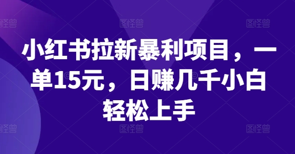 小红书的引流赚钱项目，一单15元，日赚好几千新手快速上手【揭密】-课程网