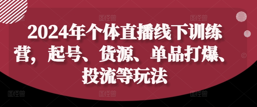 2024年个人直播间夏令营，养号、一手货源、品类打穿、投流等玩法-课程网