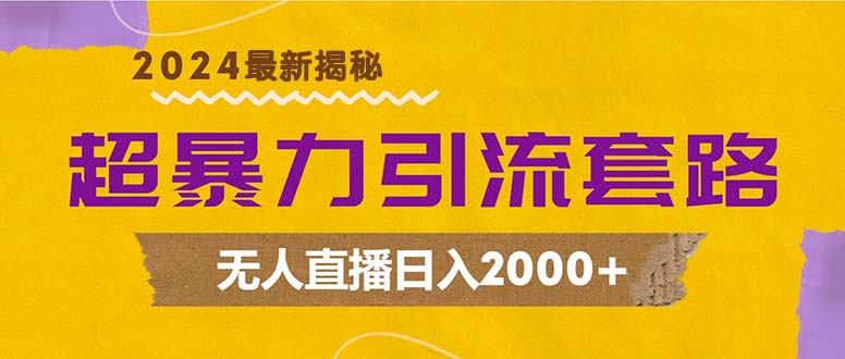 超暴力引流套路，无人直播日入2000+-课程网