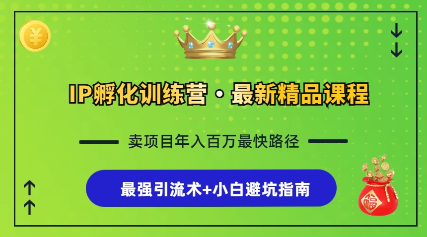 IP卵化夏令营，社交电商全过程 最牛引流术 新手避坑指南-课程网