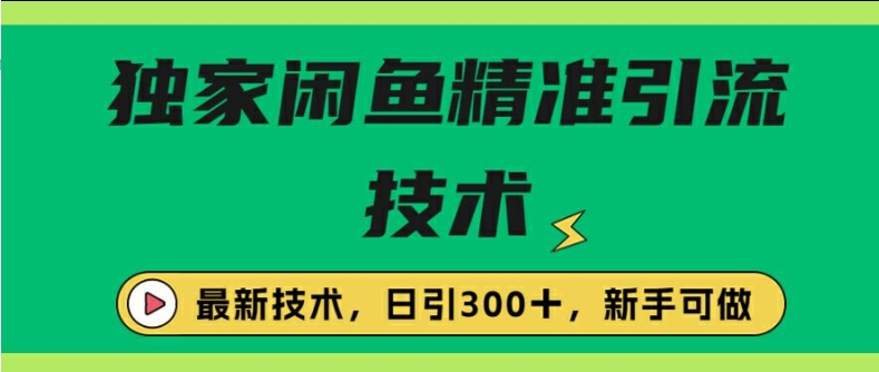 闭鱼精准引流，日引300+创业粉保姆级教程，新手可做-课程网