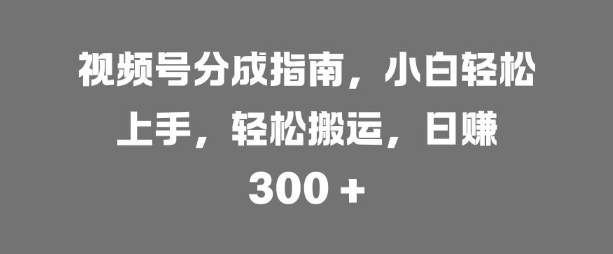 微信视频号分为手册，新手快速上手，轻轻松松运送，日入3张-课程网