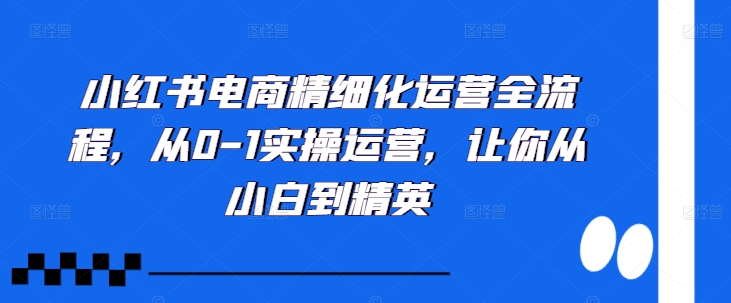 小红书电商精细化营销全过程，从0-1实际操作经营，使你从小白到精锐-课程网