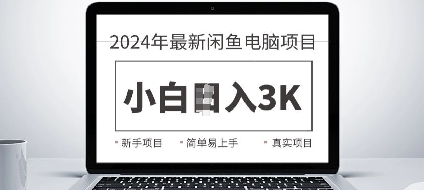 2024全新闲鱼电脑新项目，出手就可以吃肉的好项目-课程网