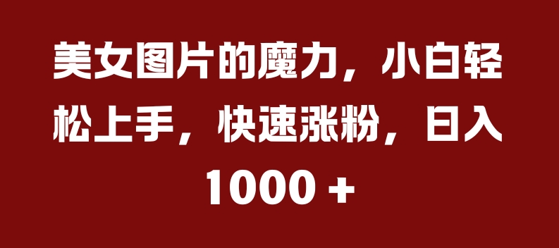 美女照片的魔力，新手快速上手，快速吸粉，日入多张【揭密】-课程网