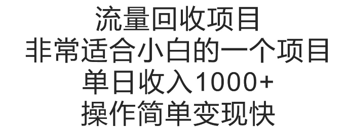 流量回收项目，非常适合小白的一个项目单日收入多张，操作简单变现快-课程网