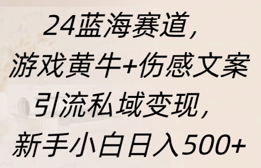 蓝海赛道，游戏黄牛+伤感文案引流私域变现，新手小白日入多张-课程网