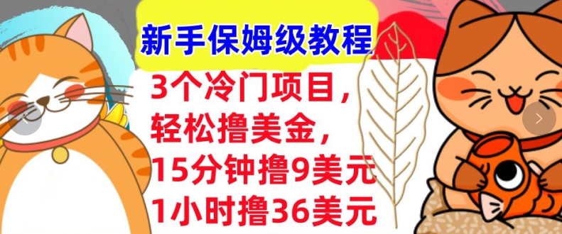 3个冷门项目，轻松撸美刀，1小时撸36刀，新手保姆级教程-课程网