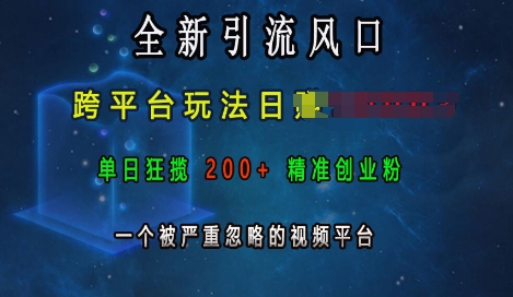 全新引流风口，跨平台玩法日入上k，单日狂揽200+精准创业粉，一个被严重忽略的视频平台-课程网