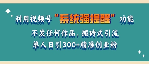 利用微信视频号系统提醒功能，引流精准创业粉，无需发布任何作品，单人单日引流300+创业粉-课程网