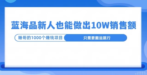 这个蓝海品，新号也能卖出10W的销售额，年底疯狂怼量就能出结果-课程网