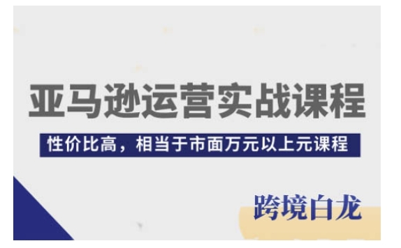 亚马逊运营实战课程，亚马逊从入门到精通，性价比高，相当于市面万元以上元课程-课程网