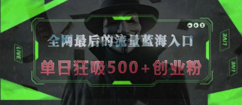 全网最后的流量蓝海入口，半小时引流50+创业粉，单日狂吸500+创业粉-课程网