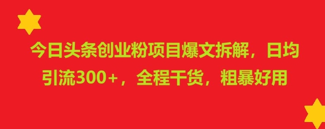 今日头条创业粉项目爆文拆解，日均引流300+，全程干货，粗暴好用-课程网