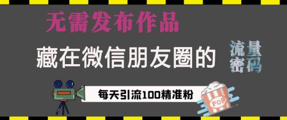 藏在微信朋友圈的流量密码，无需发布作品，单日引流100+精准创业粉【揭秘】-课程网